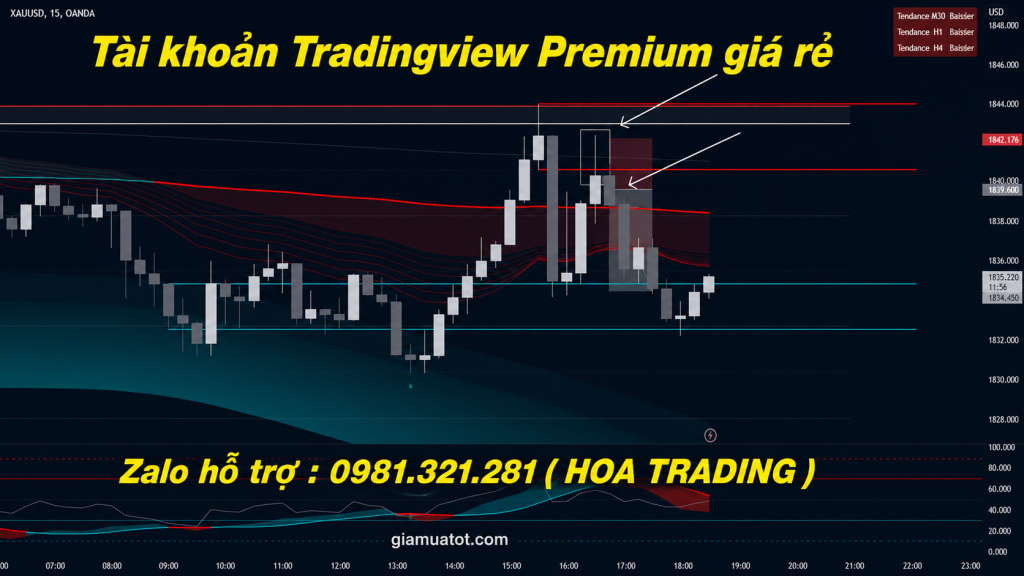 mua-ban-tai-khoan-tradingview-premium-gia-re-2026